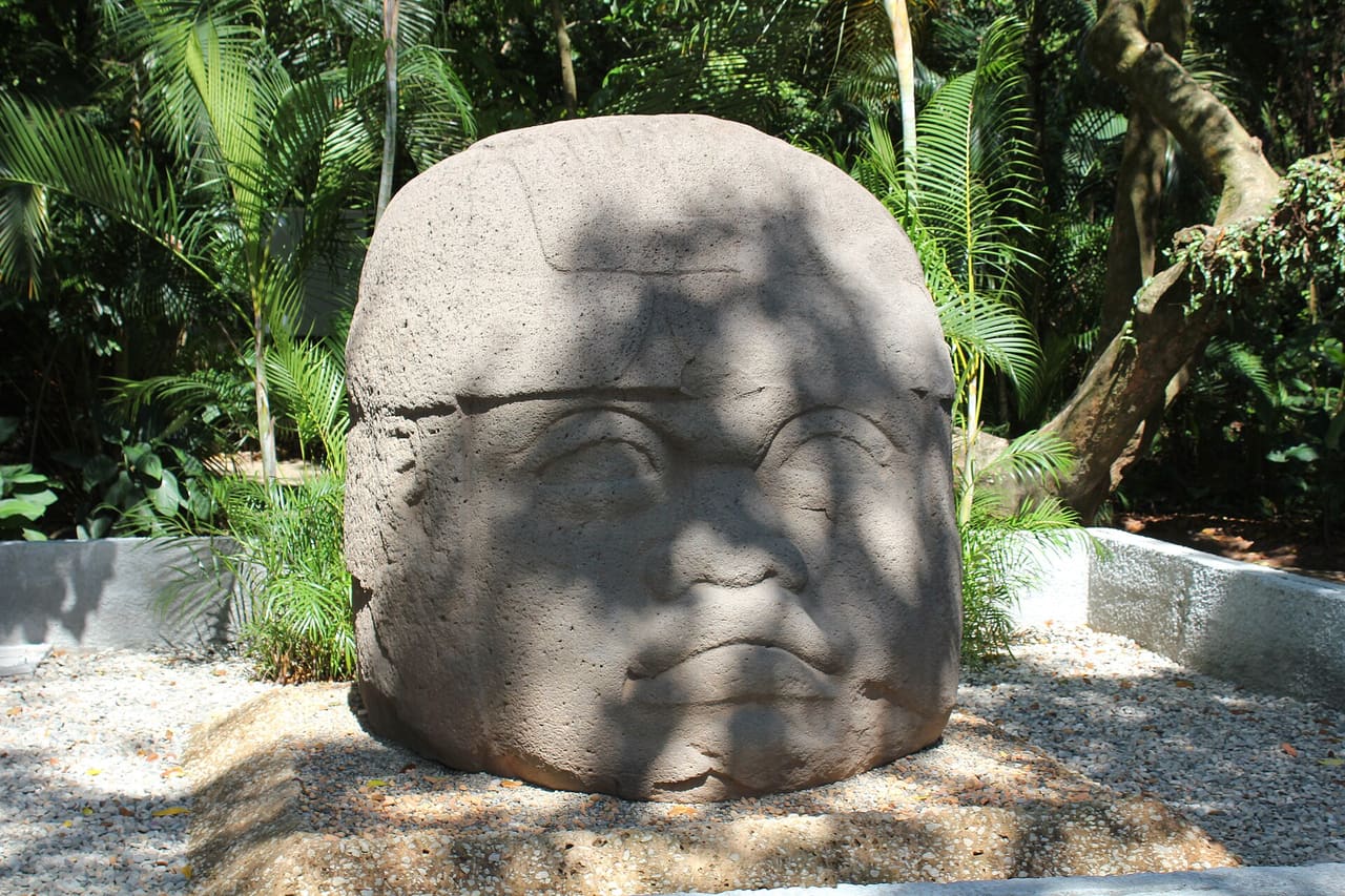 Villahermosa, Parque-Museo La Venta, Colossal Head, Monument 1 The Olmec colossal heads are at least seventeen monumental stone representations of human heads sculpted from large basalt boulders. The heads are a distinctive feature of the Olmec civilization of ancient Mesoamerica. All portray mature men with fleshy cheeks, flat noses, and slightly crossed eyes; their physical characteristics correspond to a type that is still common among the inhabitants of Tabasco and Veracruz. The backs of the monuments often are flat. The boulders were brought from the Sierra de los Tuxtlas mountains of Veracruz. Given that the extremely large slabs of stone used in their production were transported over large distances, requiring a great deal of human effort and resources, it is thought that the monuments represent portraits of powerful individual Olmec rulers. Each of the known examples has a distinctive headdress. The heads were variously arranged in lines or groups at major Olmec centres, but the method and logistics used to transport the stone to these sites remain unclear. Dating the monuments remains difficult because of the movement of many from their original contexts prior to archaeological investigation. Most have been dated to the Early Preclassic period (1500–1000 BC) with some to the Middle Preclassic (1000–400 BC) period. The smallest weigh 6 tons, while the largest is variously estimated to weigh 40 to 50 tons, although it was abandoned and left unfinished close to the source of its stone. The Olmec civilization developed in the lowlands of southeastern Mexico between 1500 and 400 BC. The Olmec heartland lies on the Gulf Coast of Mexico within the states of Veracruz and Tabasco, an area measuring approximately 275 kilometres east to west and extending about 100 kilometres inland from the coast. The Olmecs are regarded as the first civilization to develop in Mesoamerica. The Olmecs were the first inhabitants of the Americas to construct monumental architecture and to settle in towns and cities. They were also the first people in the Americas to develop a sophisticated style of stone sculpture. In the first decade of the 21st century evidence emerged of Olmec writing, with the earliest examples of Olmec hieroglyphs dating to around 650 BC. Examples of script have been found on roller stamps and stone artefacts; the texts are short and have been partially deciphered based on their similarity to other Mesoamerican scripts. The evidence of complex society developing in the Olmec heartland has led to the Olmecs being regarded as the "Mother Culture" of Mesoamerica, although this concept remains controversial. The seventeen confirmed examples of Olmec colossal heads are known from four sites within the Olmec heartland on the Gulf Coast of Mexico, namely San Lorenzo Tenochtitlán, La Venta, Tres Zapotes, and La Cobata. La Venta Monument 1 is speculated to have been the portrait of La Venta's final ruler. Monument 1 measures 2.41 metres high by 2.08 metres wide by 1.95 metres deep; it weighs 24 tons. The front of the headdress is decorated with three motifs that apparently represent the claws or fangs of an animal. Above these symbols is an angular U-shaped decoration descending from the scalp. On each side of the monument a strap descends from the headdress, passing in front of the ear. Each ear has a prominent ear ornament that descends from the earlobe to the base of the monument. The features are those of a mature man, with wrinkles around the mouth, eyes and nose. Monument 1 is the best preserved head at La Venta but has suffered from erosion, particularly at the back. The head was first described by Franz Blom and Oliver La Farge who investigated the La Venta remains on behalf of Tulane University in 1925. When discovered it was half-buried; its massive size meant that the discoverers were unable to excavate it completely. Matthew Stirling fully excavated the monument in 1940, after clearing the thick vegetation that had covered it in the intervening years. Monument 1 has been moved to the Parque-Museo La Venta in Villahermosa. The head was found in its original context; associated finds have been radiocarbon dated to between 1000 and 600 BC. (source: en.wikipedia.org/wiki/Olmec_colossal_heads)