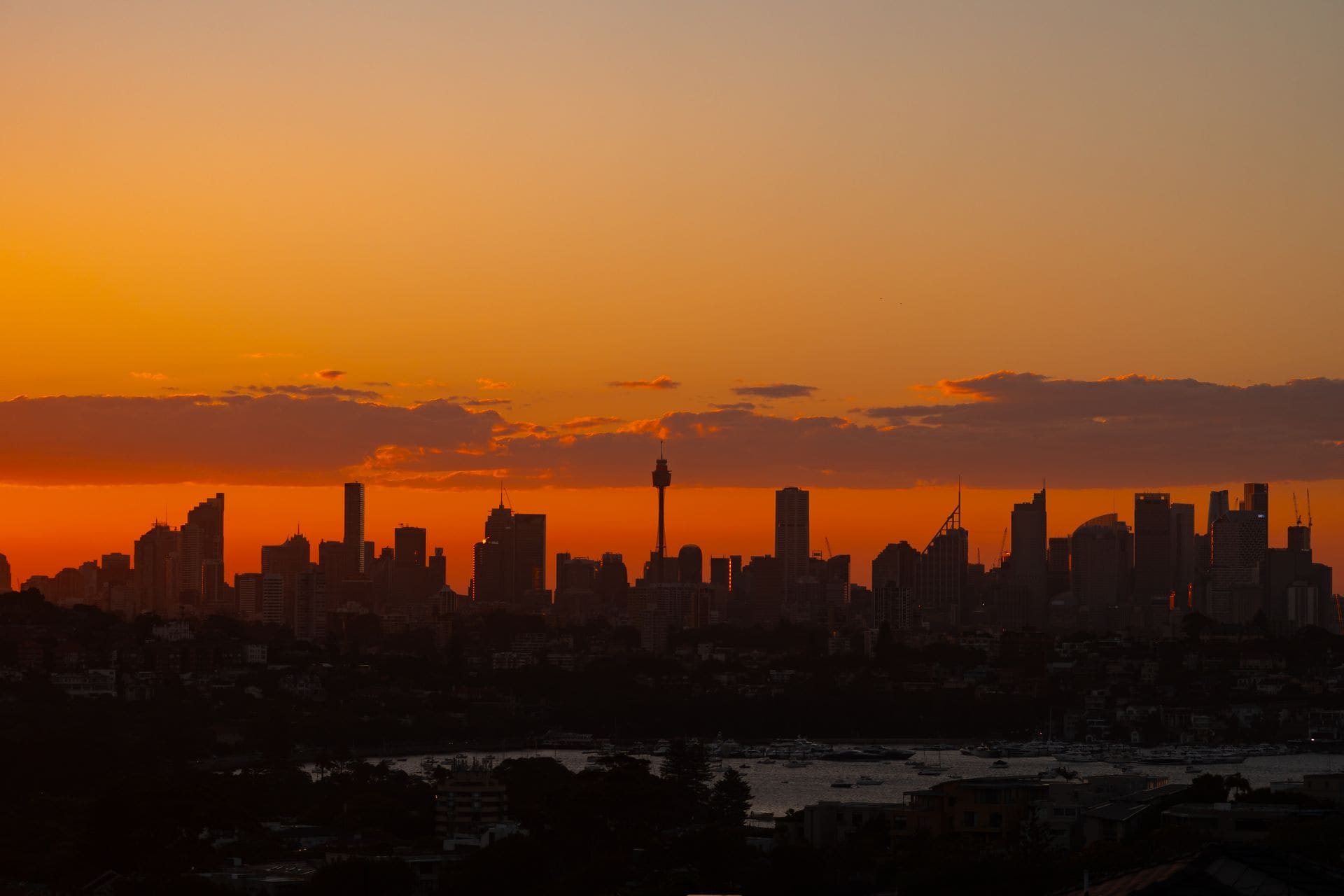 Breathtaking view of Sydney's skyline silhouetted against a vivid orange sunset sky.