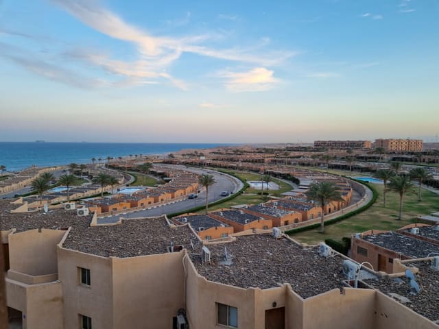 Aerial view of a residential area by the sea with palm trees and rooftops under a bright blue sky.
