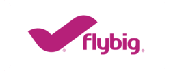 FlyBig