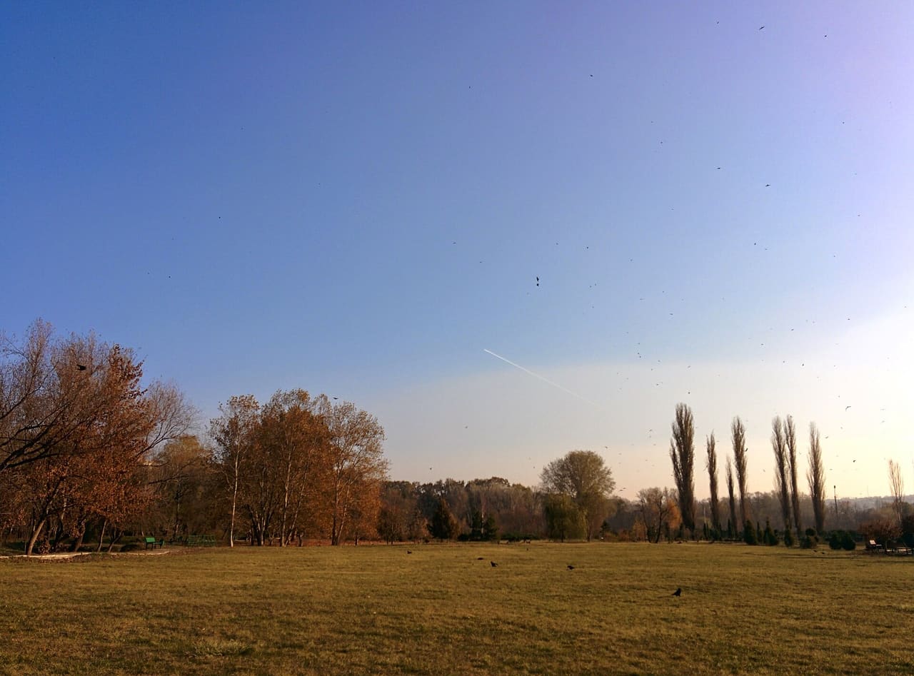 This is a photo of a natural heritage site in Moldova, id: