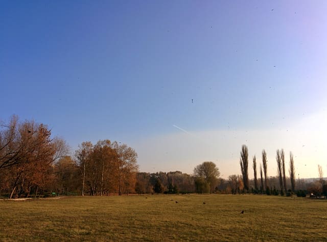 This is a photo of a natural heritage site in Moldova, id: