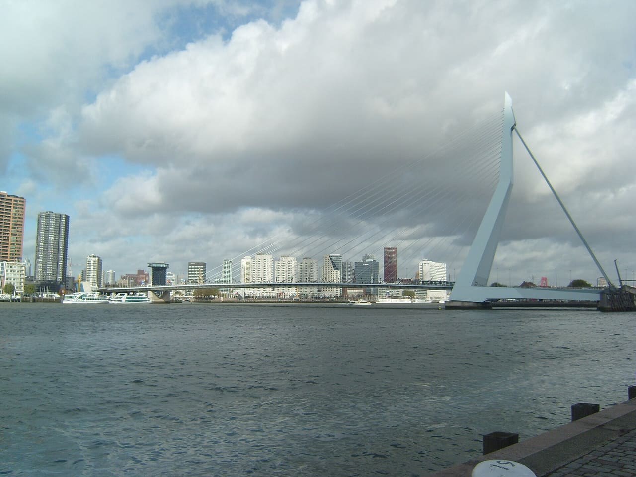 The skyline of Rotterdam.