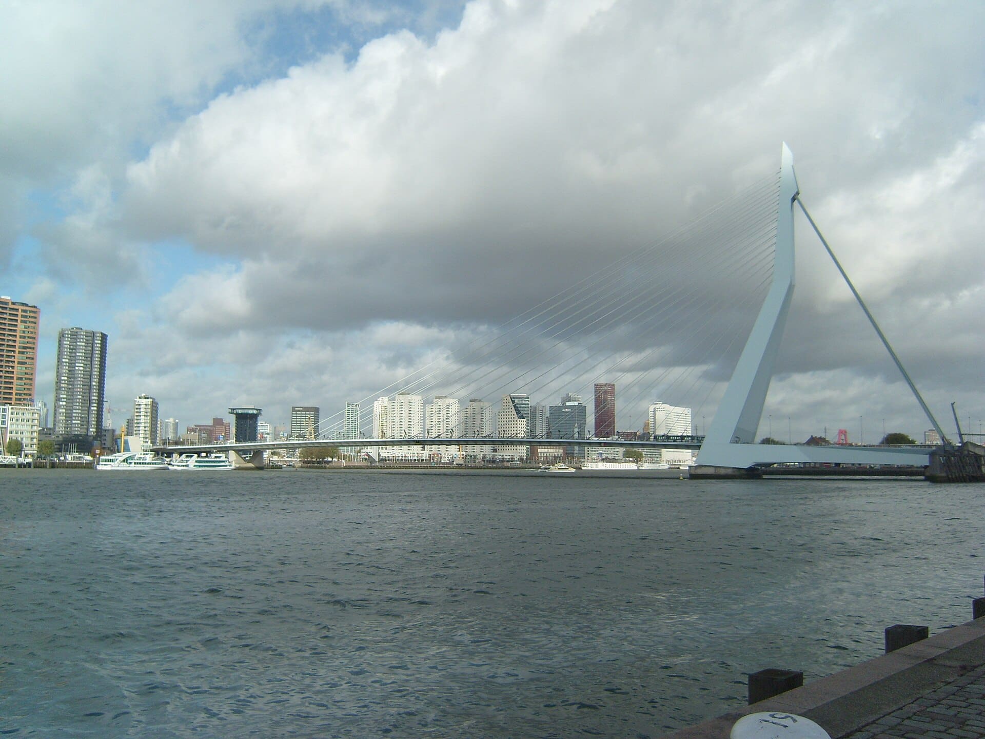 The skyline of Rotterdam.